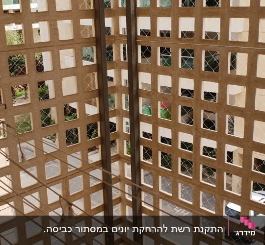 רשת מתכת על קיר למניעת כניסת יונים